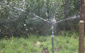 智能灌溉公司智高节水浅谈园林景观绿化节水灌溉技术