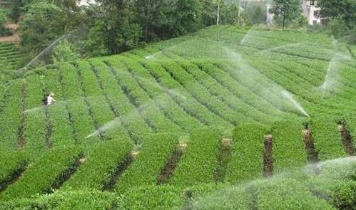 西安智能灌溉