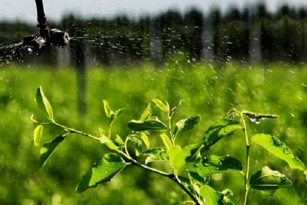 西安高效节水灌溉