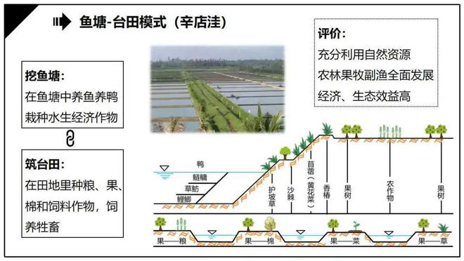 灌溉农业